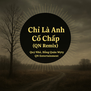 Chỉ Là Anh Cố Chấp (QN Remix)