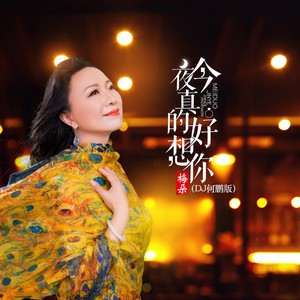 今夜真的好想你 (DJ何鹏版)封面
