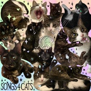 SONGS 4 CATS