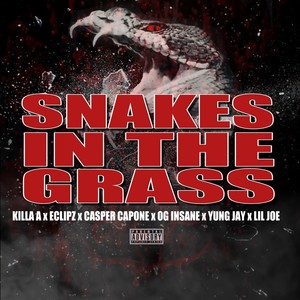 Snakes in the Grass (Explicit)