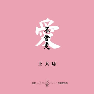 爱不会走