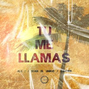 Tu Me Llamas (feat. Ivan El Unico)