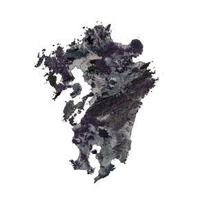 in my life,in my dream (RE2025)