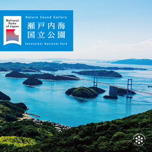 しまなみ海道の波 (愛媛県 今治 大三島)
