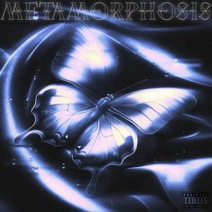 Metamorphosis (Explicit)