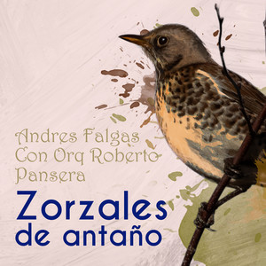 Zorzales de Antaño / Andres Falgas Con Orquesta Roberto Pansera