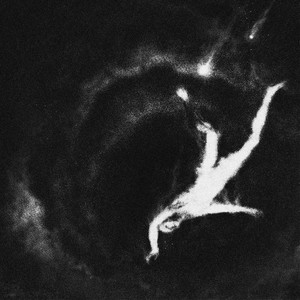 совесть (Explicit)