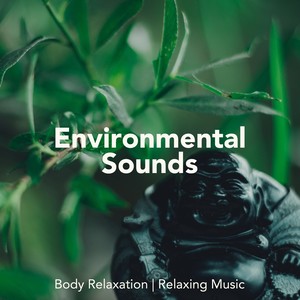 Environmental Sounds for Body Relaxation, Relaxing Music, Asian Instrumental Songs