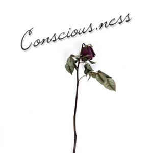 Conscious-Ness (Explicit)