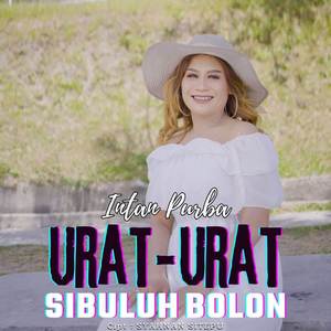 Urat-Urat Sibuluh Bolon