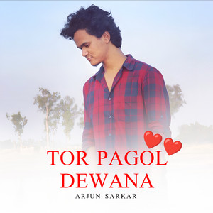 Tor Pagol Dewana