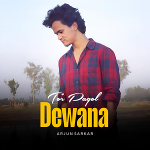 Tor Pagol Dewana
