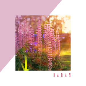 우리의 끝은 없어