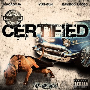 Certified (Re-up Mix|Explicit)
