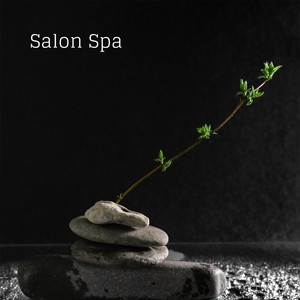 Salon Spa