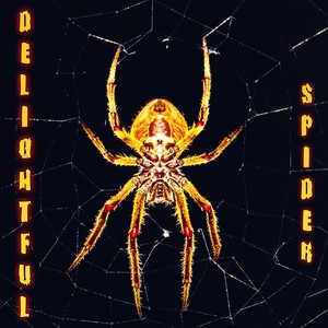 Delightful Spider