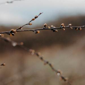 Lemon Lime and Squishies (Explicit)