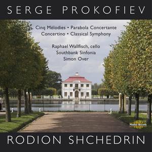 Concertino in G Minor, Op. 132: I. Andante mosso