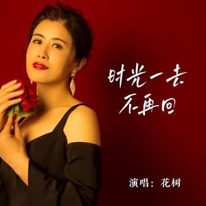 时光一去不再回