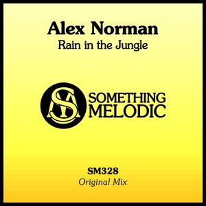 Rain in the Jungle (Radio Edit)