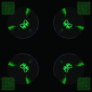 HOME ALONE (Explicit)