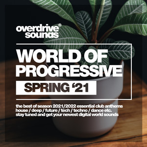 Another Feeling (Progressive Vip Mix)