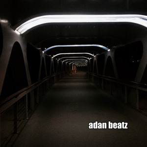 我可以给你一颗子弹或者我的爱