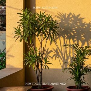 New Town (Lil Charmin Mix)