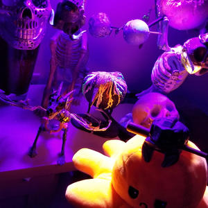 Eight Limbs (Explicit)