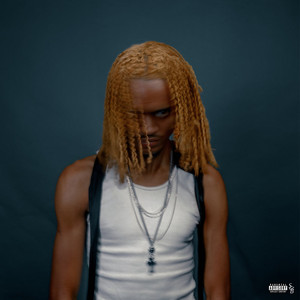 CARTEIRA GORDA (Explicit)