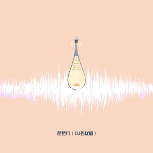 琵琶行 (DJ名龙版)封面