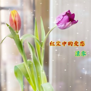 红尘中的爱恋 (伴奏)