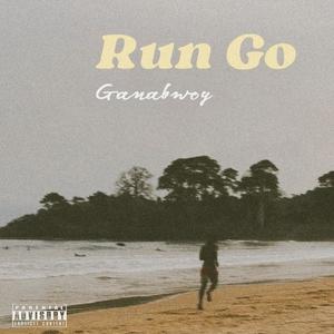 Run Go (Explicit)
