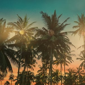 Summer Day