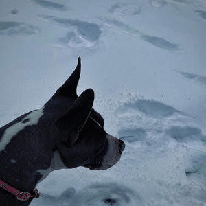 2 Man (feat. YungbullDMV) (Explicit)