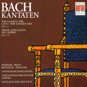 Bach: Cantatas - BWV 29, 119