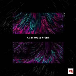 Ambi House Night (Original Mix)