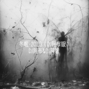 冬眠·2023 (DJ阿布版)封面