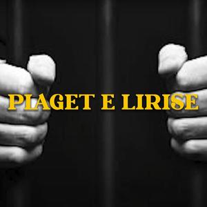 Plaget e lirisë