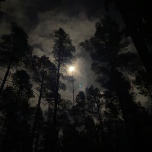 run (father forgive me) (father forgive me)