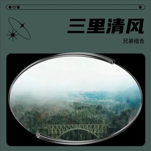 步步清风再无你