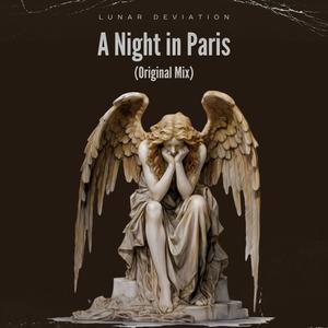 A Night in Paris