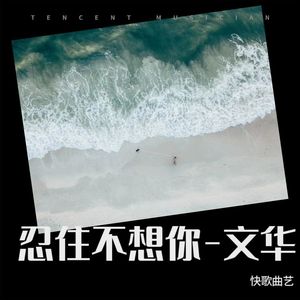 快歌曲艺 - 忍住不想你-文华