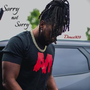 Sorry not Sorry (Explicit)