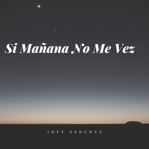 Si Mañana No Me Vez