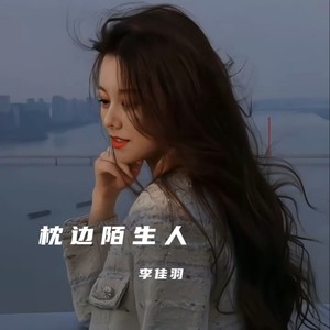 枕边陌生人 (DJ欧东版)
