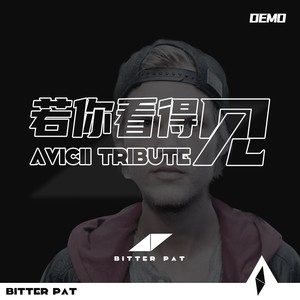 若你看得见 （AVICII六周年纪念版）