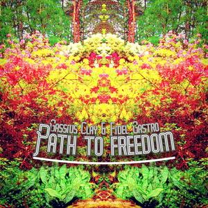 Path to Freedom