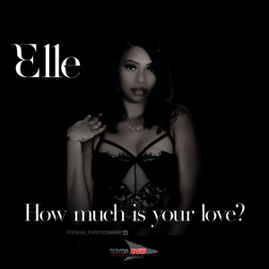 How Much Is Your Love?