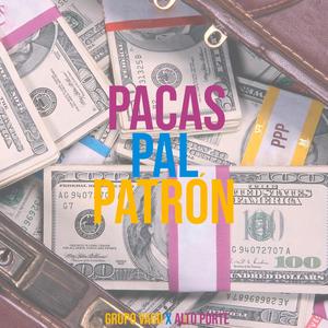 Pacas Pal Patrón